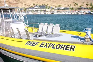 Tour image of Molokini Crater Zodiac Adventure: Snorkel and Turtle Cove Swim