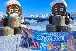 Tour image of Hokkaido Farm Tomita Shikisai Hill Waterfall& Blue Pond Day Tour