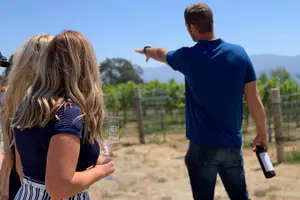 Tour image of Private Wine Tasting Tour from Santa Barbara