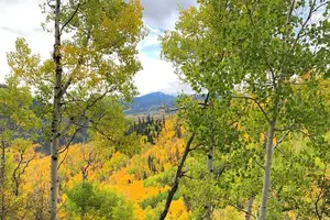 Tour image of Rocky Mountain National Park Hiking