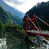 Image of Nature Walks