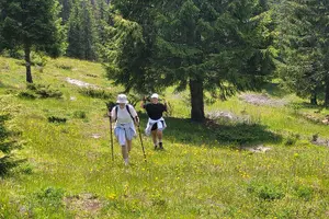 Tour image of Vladeasa Peak and Bride's Waterfall Day Hike