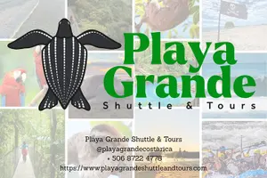 Tour image of OneWay Private Transfer - San Jose Airport to your selected location: