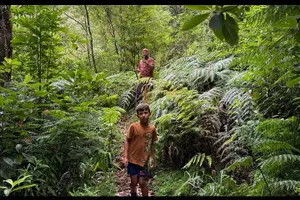 Tour image of Private Waterfall Hiking in Madeira 4 Spectacular Waterfalls