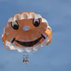 Image of In the Air