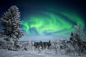 Tour image of Northern Lights Holiday in Finland