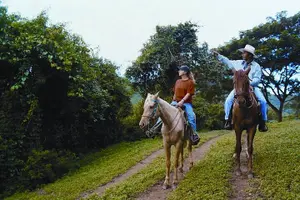 Tour image of Horseback Riding in Hopkins