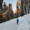Image of Snowshoeing