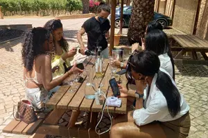 Tour image of Wine Lovers: Winery, Wine Tasting, Chicken Piri Piri & Sights