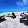 Image of Motor Sports