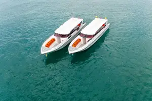 Tour image of From Phuket: Phi Phi Island, Maya Bay & Bamboo Island Tour by Speedboat with Lunch & Optional Transfers