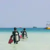 Image of Freediving
