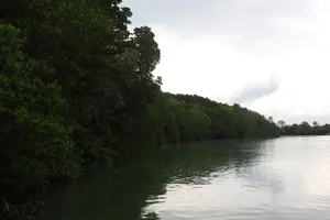 Tour image of Johor Desaru Coast Firefly Afterdark River Cruise