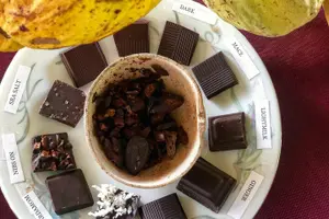 Tour image of Mayan Chocolate Making & Waterfall Swimming From Placencia