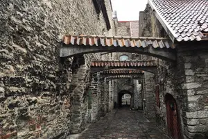 Tour image of Tallinn Day Tour from Helsinki (Ferry Tickets+ Guiding+ Own Time)