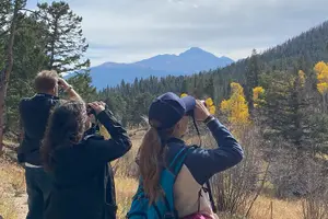 Tour image of Private Birding Hike in Rocky Mountain National Park