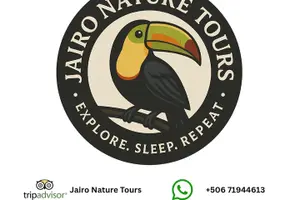Tour image of Mystical Day Walk Jaguar Trail Tortuguero National Park
