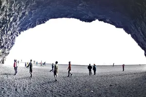 Tour image of South Coast Private Day Tour - up to 9 passengers