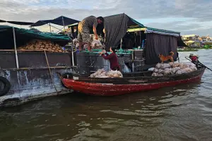 Tour image of Can Tho: Cai Rang floating market & Mekong's Legacy( Max 6 pax)