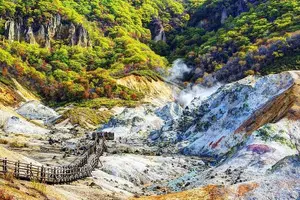 Tour image of Sapporo 6hr Private Tour with Government Licensed Guide