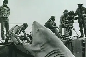 Tour image of 4 hours Hop-on Hop-off Jawsome Jaws Tour