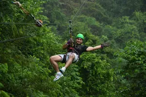 Tour image of Rainforest Aerial Tram & Zipline Tour in Jacó, Costa Rica