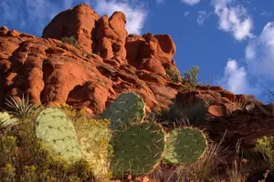 Tour image of Small Group or Private Sedona and Native American Ruins Day Tour