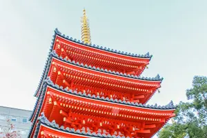 Tour image of Certified by Fukuoka: A Photogenic Tour to Visit Beautiful Spots with Kimono on!