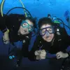 Image of Shark Diving