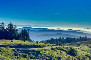 Tour image of Muir Woods and Sausalito Half Day Tour