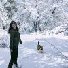 Image of Sledding