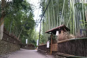 Tour image of One-Day Walking Tour : Enjoy Kyoto to the fullest!