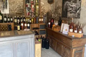 Tour image of 2 Best Villages of Var Region and Wine Tasting from Sanary port