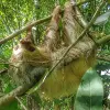 Image of Eco Tours
