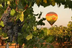 Tour image of Sunrise Hot Air Balloon Flight over the Temecula Wine Country