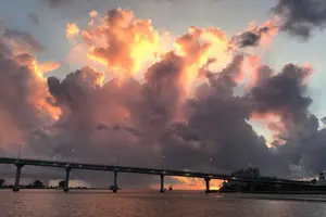 Tour image of Mega Bite Dolphin Tour Boat in Clearwater Beach