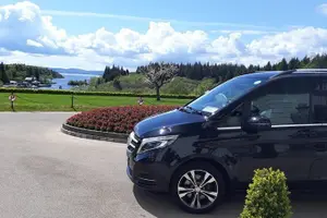 Tour image of Shannon Airport to Delphi Resort Premium Car Service