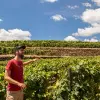 Image of Food Tours