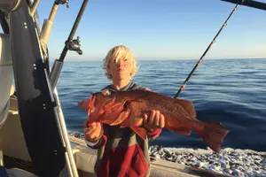 Tour image of Whale Watching and Fishing Combination Excursions