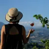 Image of Wine Making Workshops