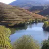 Image of Culinary Tours