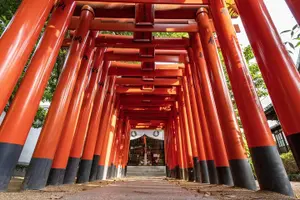 Tour image of Hakata Food Tour, Ramen, Mentaiko Bread, Chicken and More