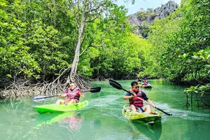 Tour image of Half-Day Mangrove Kayaking in Langkawi