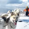 Image of Sledding