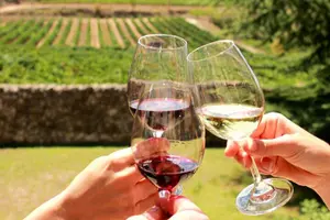 Tour image of Small-Group Day Tour of Silves and Monchique with Wine Tasting