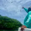 Image of Dolphin Watching