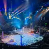 Image of Musicals