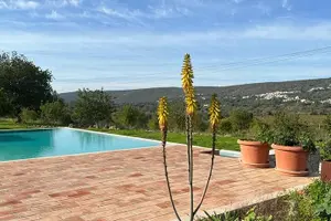 Tour image of Tour & Wine tasting - Authentic Algarve Flavours by Quinta da Tôr
