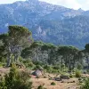Image of Mountain Bike Tours