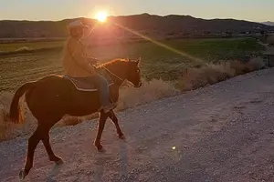 Tour image of Wild West Sunset Horseback Ride with Dinner from Las Vegas